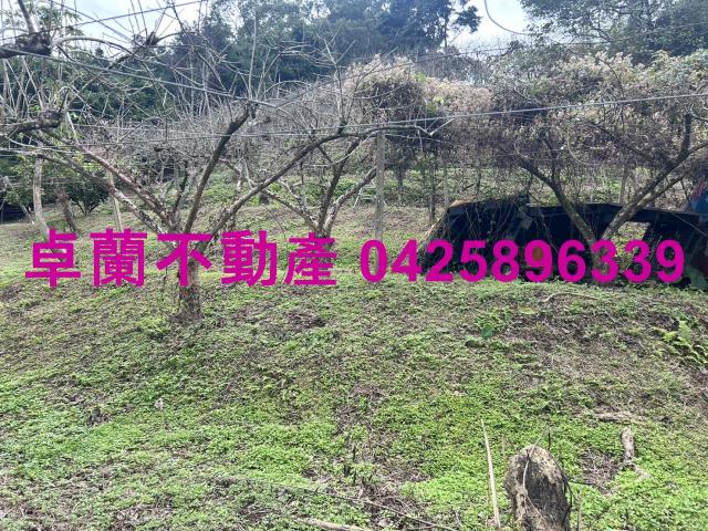 卓蘭農地-12
