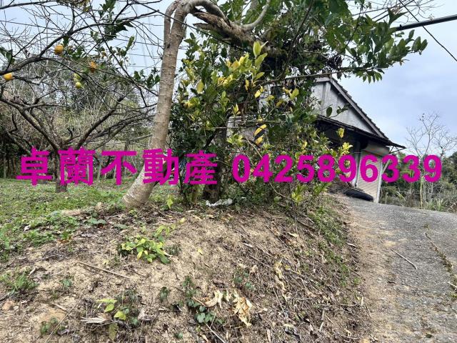 卓蘭農地-1
