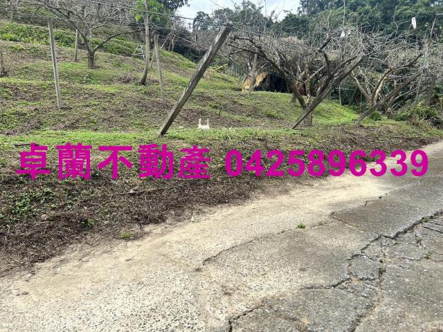 卓蘭農地-5