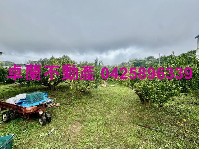 苗栗卓蘭農地-2