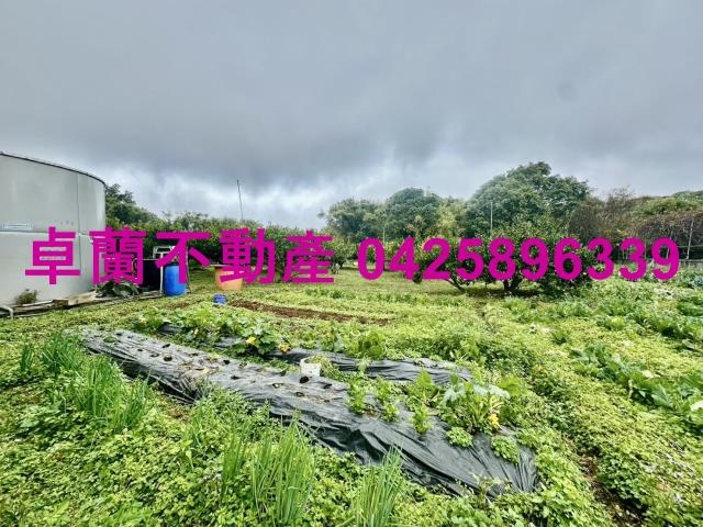 苗栗卓蘭農地-3