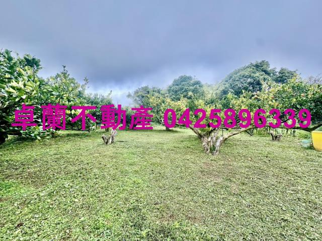 苗栗卓蘭農地-4