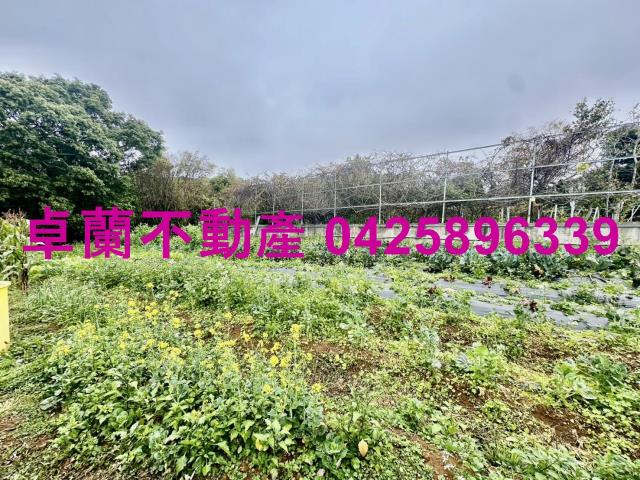 苗栗卓蘭農地-5