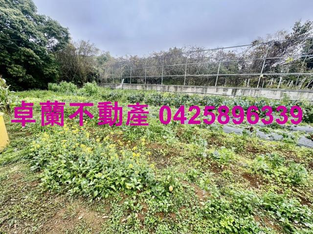 苗栗卓蘭農地-6