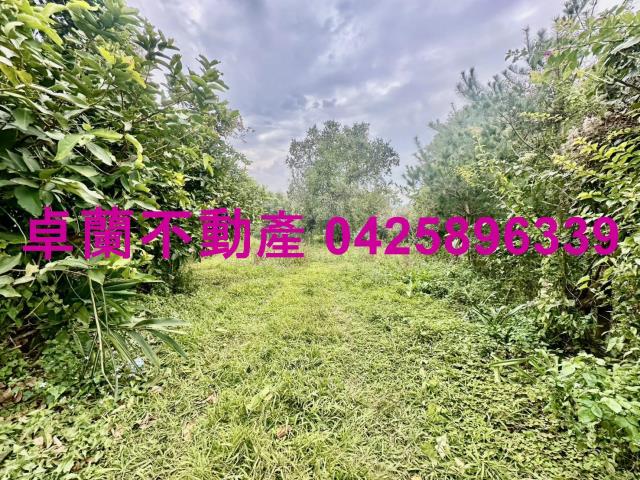卓蘭農地-1