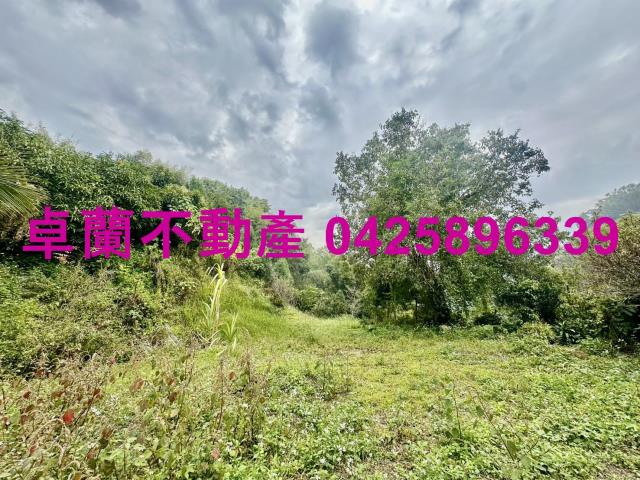 卓蘭農地-3