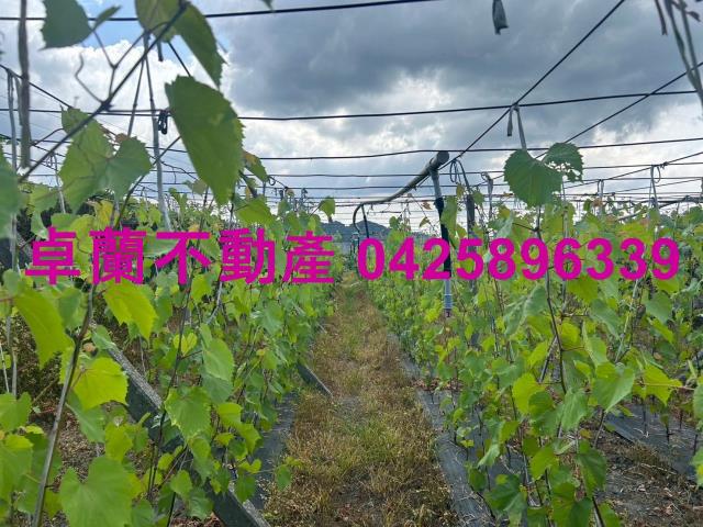 苗栗農地-0