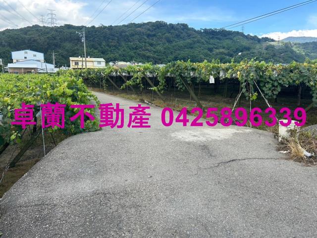苗栗農地-1