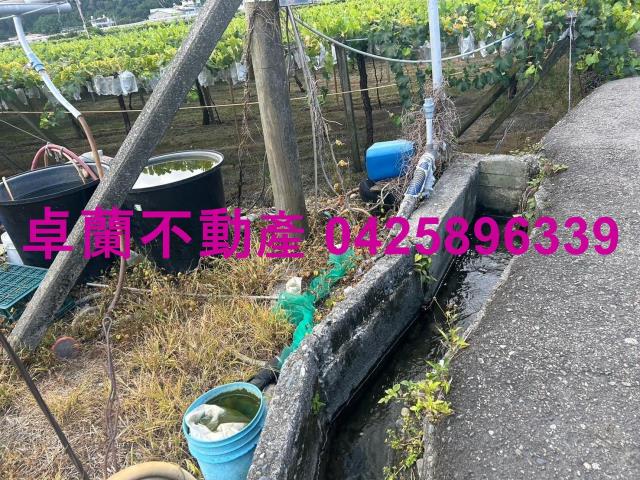 苗栗農地-2