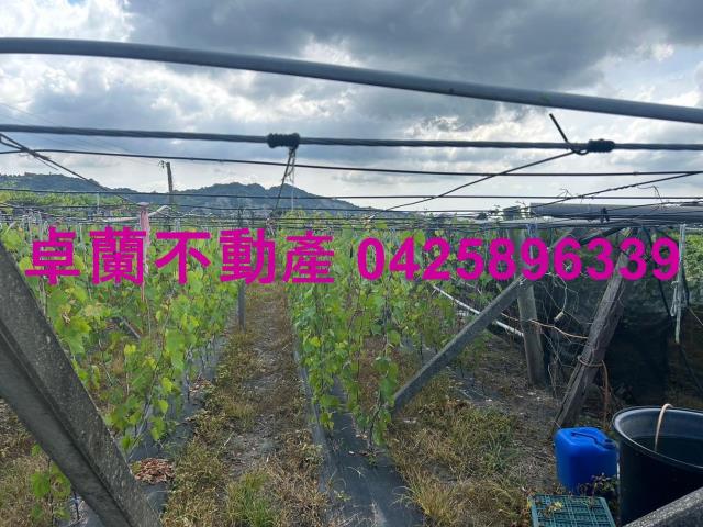 苗栗農地-3