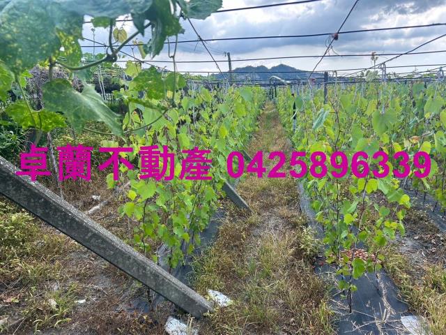 苗栗農地-4