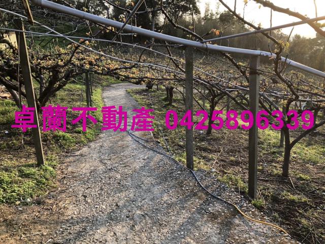 苗栗卓蘭農地-9