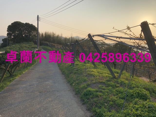 苗栗卓蘭農地-11