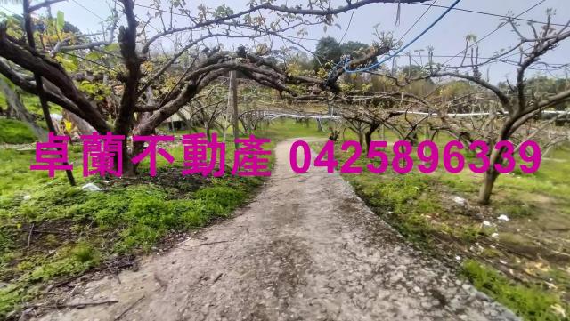 苗栗卓蘭農地-1