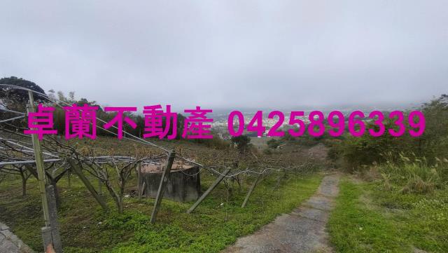 苗栗卓蘭農地-2