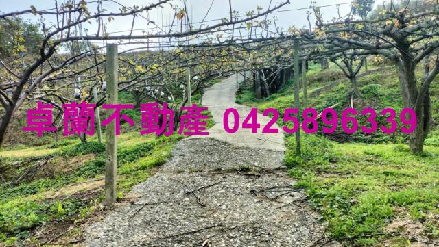 苗栗卓蘭農地-3
