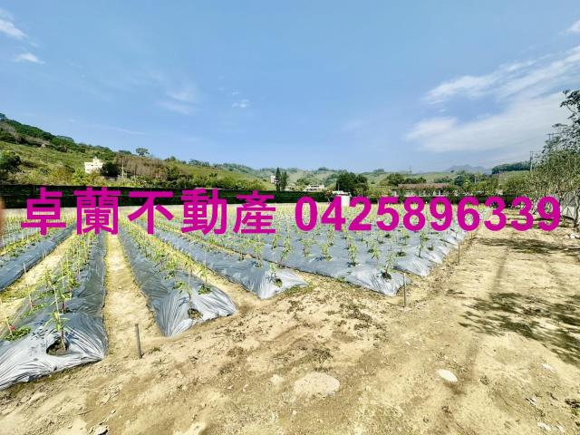 苗栗卓蘭農地-0