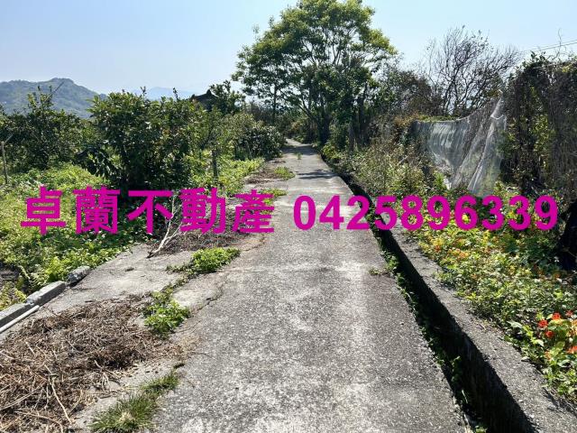 卓蘭農地-10