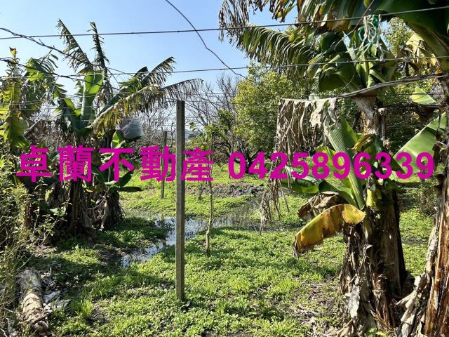 卓蘭農地-0