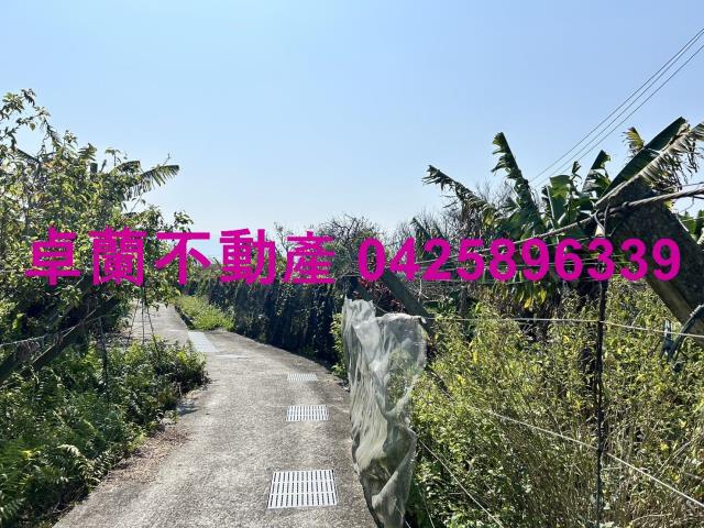 卓蘭農地-1