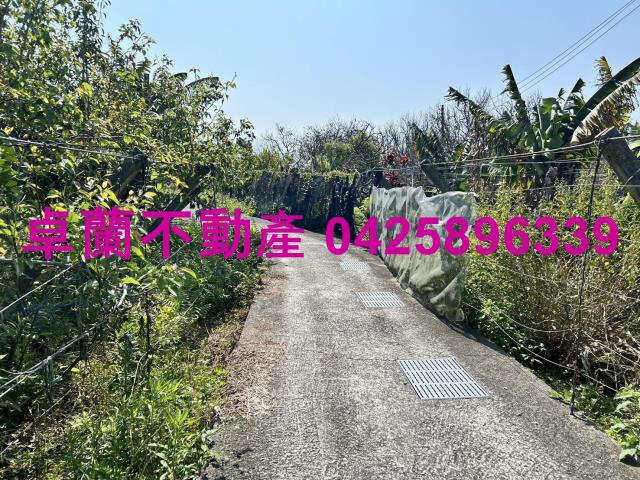 卓蘭農地-2