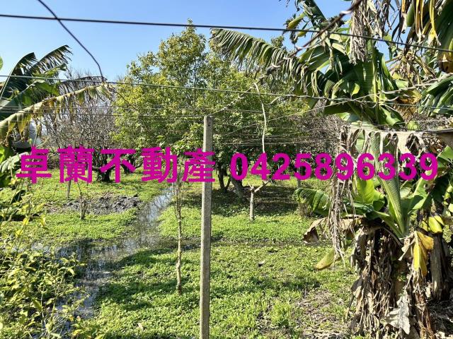 卓蘭農地-3