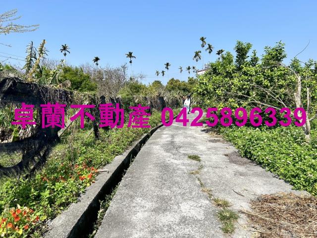 卓蘭農地-7