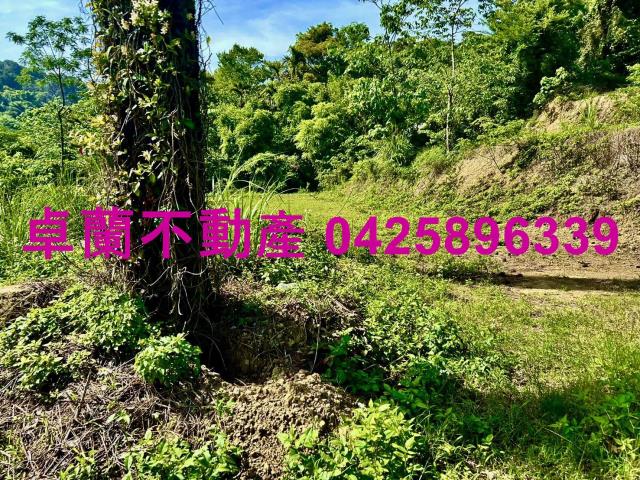 苗栗農地-9