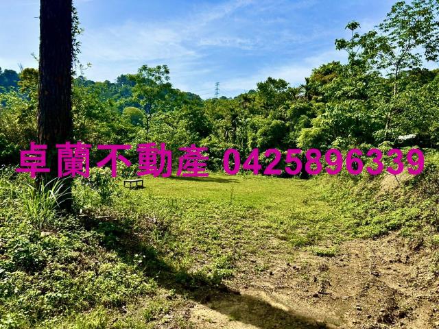 苗栗農地-10
