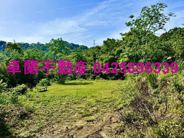 苗栗農地-13