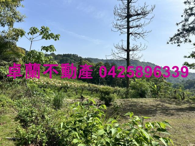 苗栗農地-1