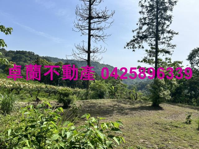 苗栗農地-2