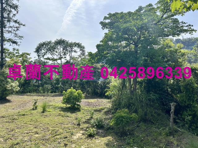 苗栗農地-3