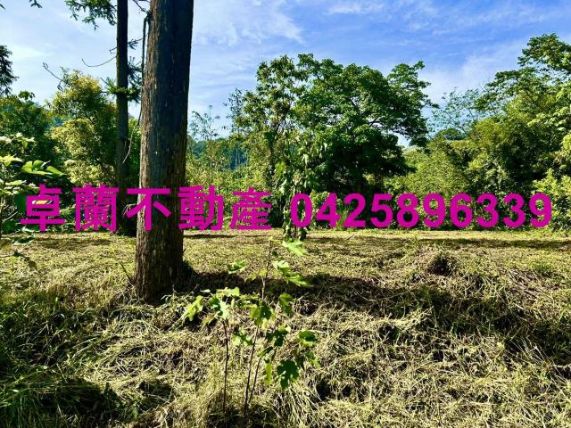 苗栗農地-5