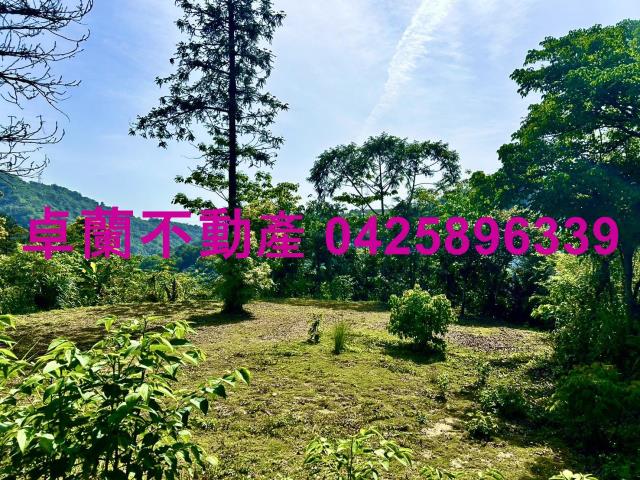 苗栗農地-8