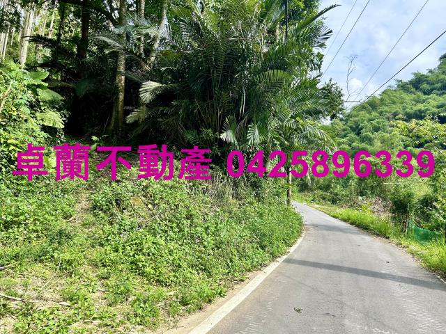 苗栗農地-1