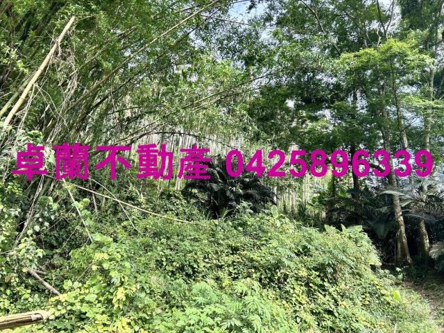苗栗農地-3