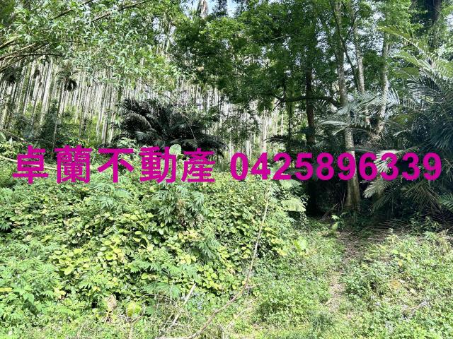 苗栗農地-6
