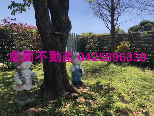 苗栗卓蘭農地-7