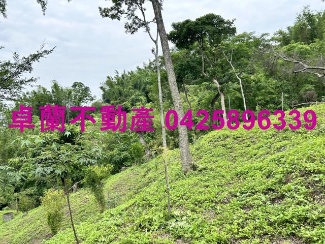 台中東勢農地-2