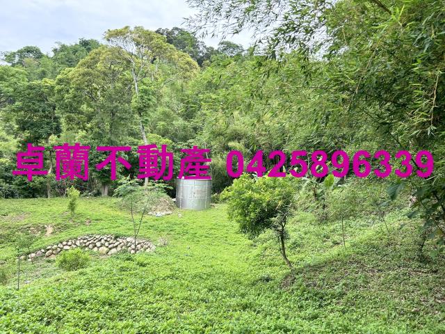 台中東勢農地-3