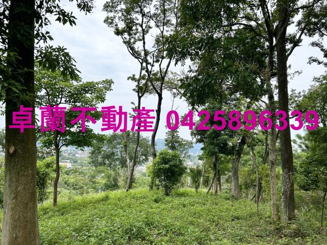 台中東勢農地-4