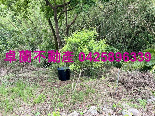 台中東勢農地-7