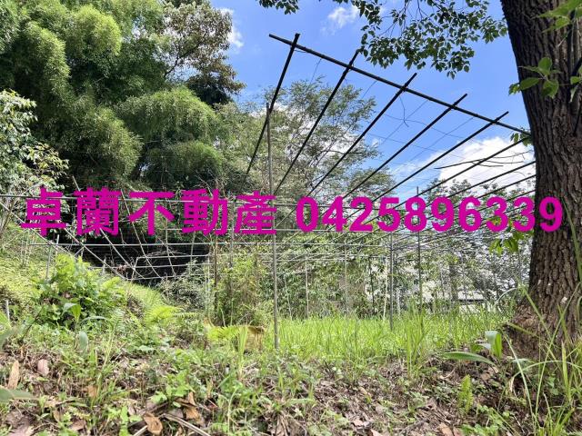 卓蘭農地-11