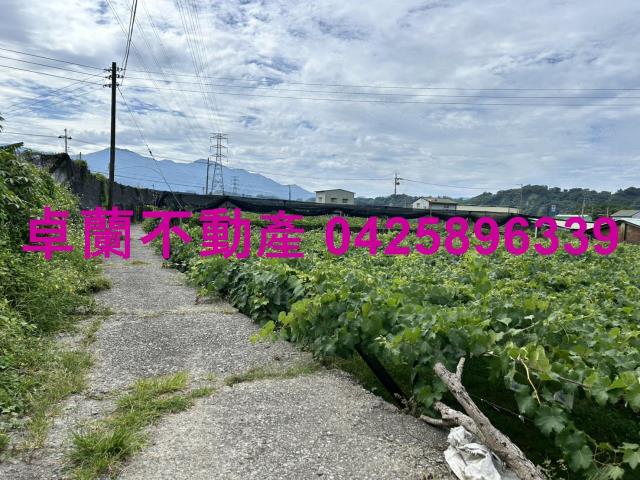 苗栗卓蘭農地-7