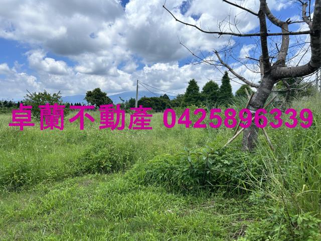 苗栗卓蘭農地-4