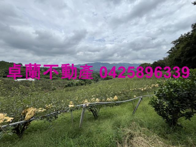 苗栗農地-0