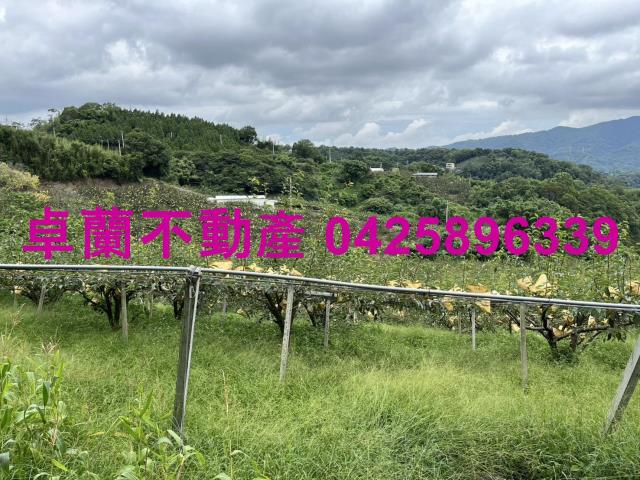 苗栗農地-2