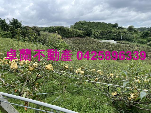 苗栗農地-6
