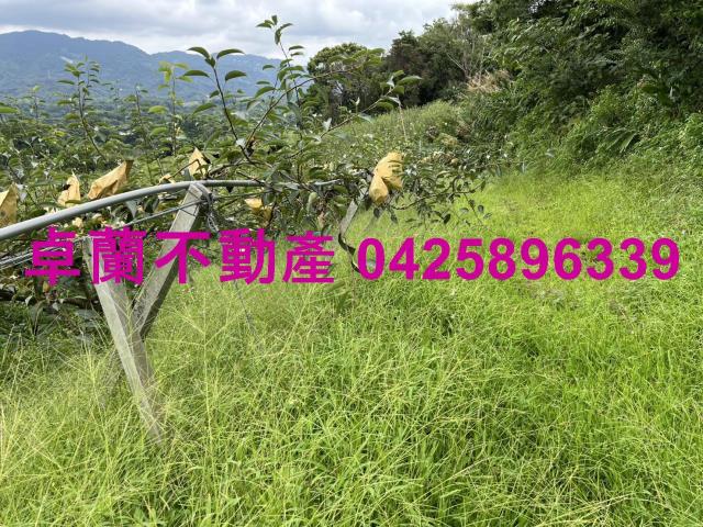 苗栗農地-7